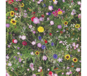 Trixie Leinenoptik Blumenwiese Fotodruck